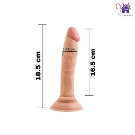 Esta imagen describe las Medidas y Características del Consolador Boris Benjamín