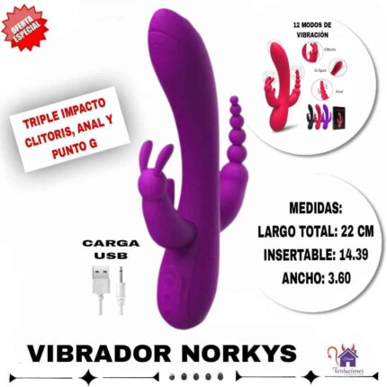 La imagen describe las Medidas del Vibrador Norkys