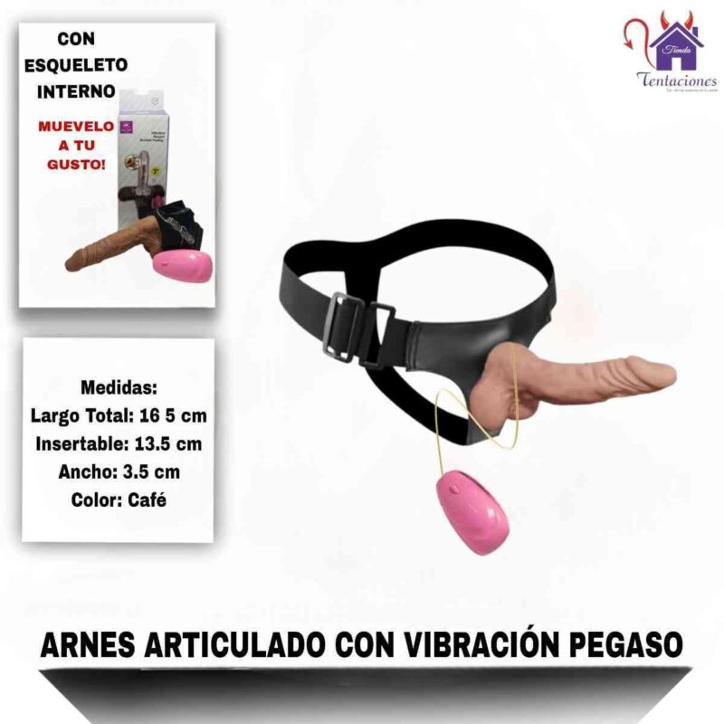Esta imagen describe la Forma de Uso y Características del Vibrador articulado con vibración Pegaso