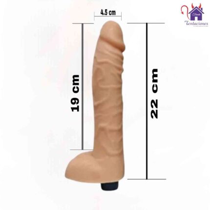 Esta imagen describe las Medidas y Características del Vibrador Roberto