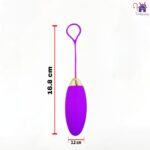 HUEVO VIBRADOR RECARGABLE Y CONTROL REMOTO-JAN - Imagen 2