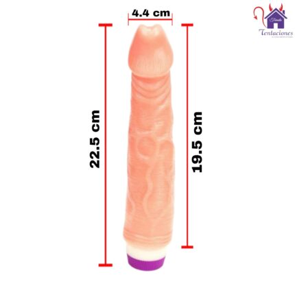 Esta imagen describe las Medidas y Características del Vibrador Obert Rotador