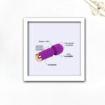 Esta imagen las Medidas y Características del Vibrador Hitachi Masajeador Aselia Majestic